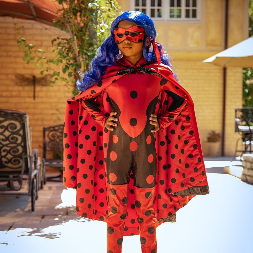 Ladybug 10th Anniversary Child Dress Up - Size 9/10 Years