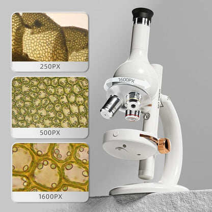 Microscope Lab Edition