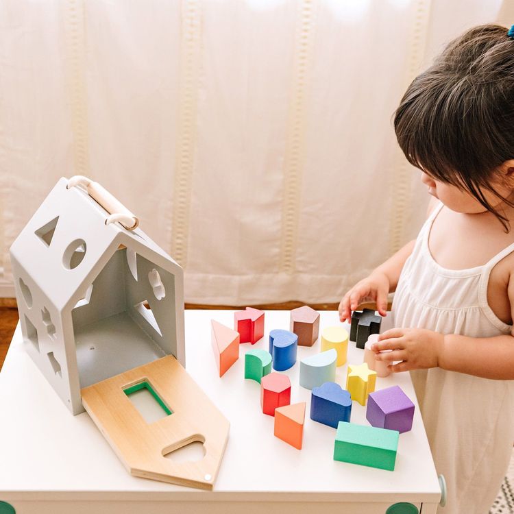 Wooden Shape Sorter